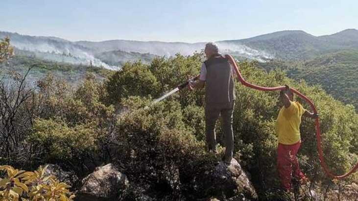 OGM işçi alımı 2022 başvuru şartları neler? İŞKUR Orman Genel Müdürlüğü 5 bin personel alımı branş dağılımı ve başvuru tarihi