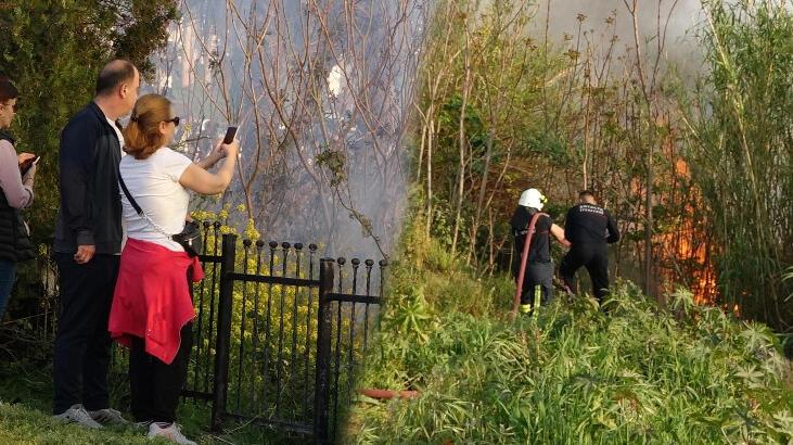 Görüntülemek için yarıştılar! ‘İlk kez burada böyle bir şey oldu’