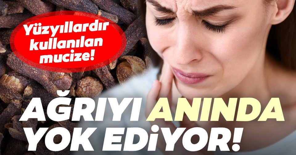 Diş Ağrısına Ne İyi Gelir, Diş Ağrısını Hemen Kesmek İçin Ne Yapılır? İşte Diş Ağrısına İyi Gelen Bitkisel Yöntemler