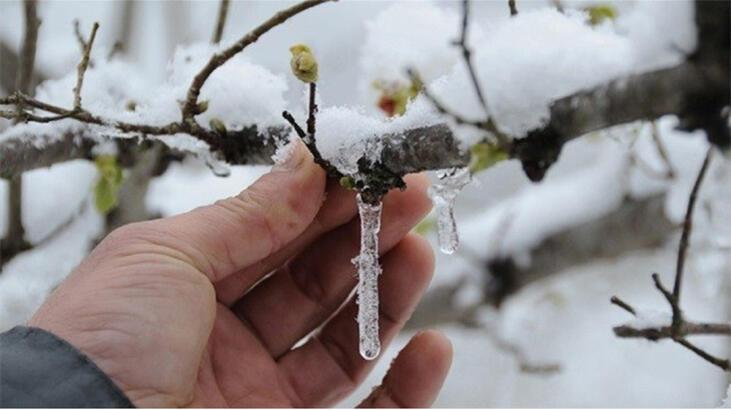 Son dakika: Meteoroloji tarih verdi! Zirai don ve kırağı uyarısı