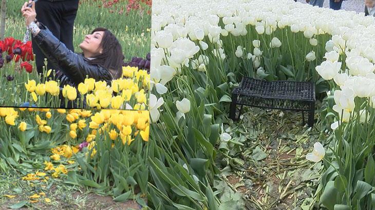 Emirgan Korusu’ndaki ‘lale şöleni’ne fotoğraf gölgesi