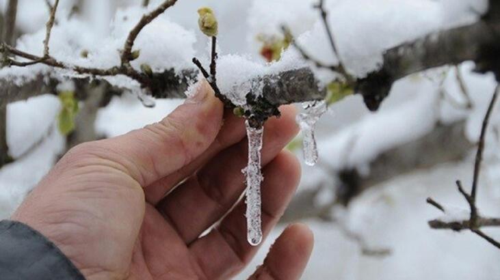 Meteoroloji’den yeni uyarı geldi! Zirai don bekleniyor…