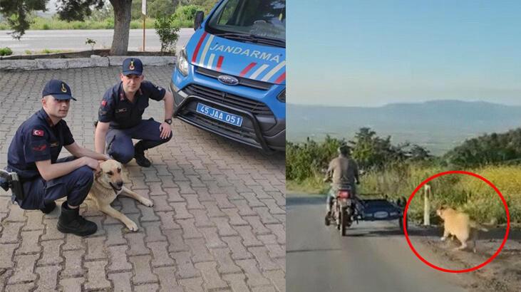 Tepki çeken görüntüler! Jandarma ekipleri harekete geçti