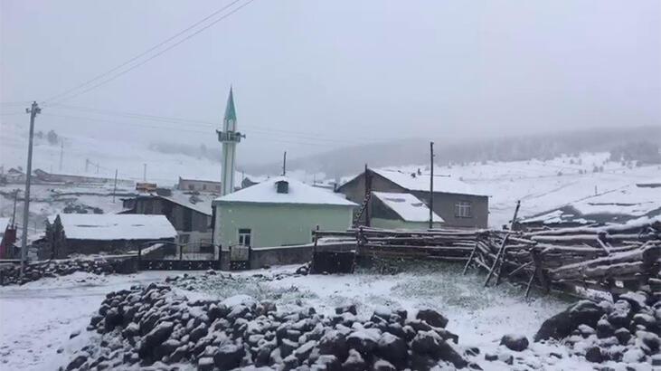 Mayıs ayında her yer beyaza büründü! Herkes şaşkına döndü