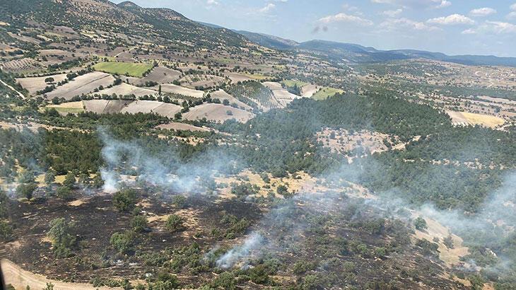 Manisa’daki orman yangını büyümeden söndürüldü