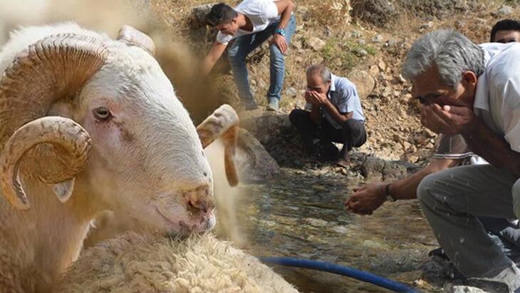 Eski inançlar günümüzde de sürüyor! Kıyamet alameti sayıyorlar…