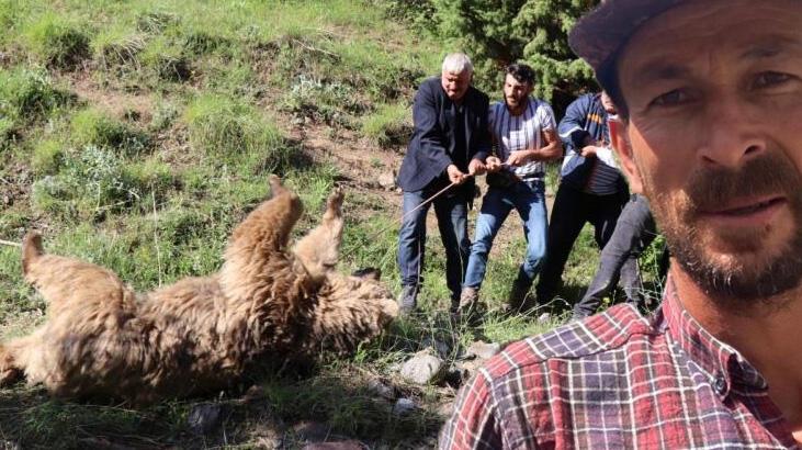 Erzurum’da ayı dehşeti! Çobanın parçalanmış cesedi bulundu