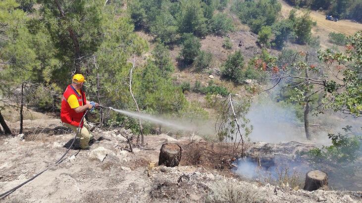 Manisa’da orman yangını; 2 hektardaki kızılçam yandı