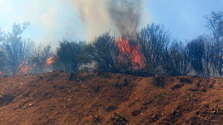 Manisa’da makilik yangını ormana sıçramadan söndürüldü