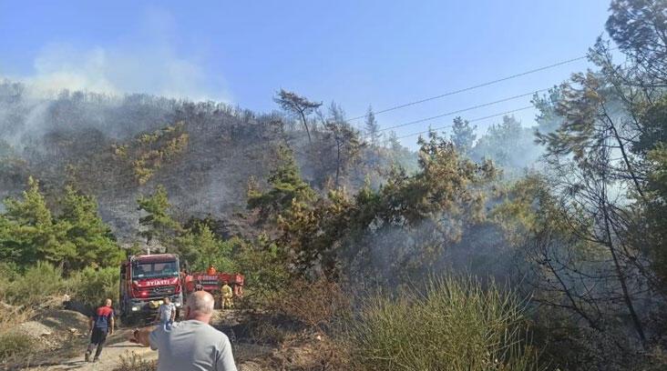 Aydın ve Manisa’da orman yangını