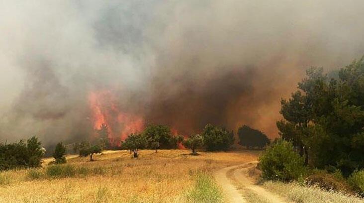 Bursa, Manisa ve Muğla’da orman yangınları