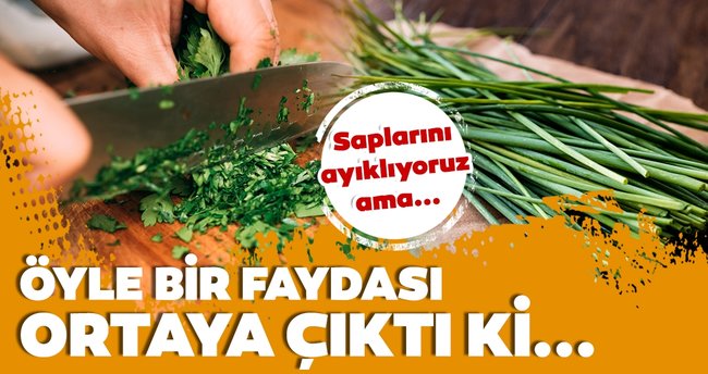 Maydanozun kendi ayrı sapı ayrı faydalı! Mucize besin maydanoz sapının faydaları şaşırtıyor!