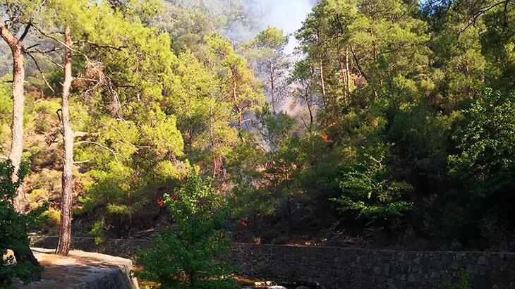 Marmaris’te orman yangını! Ekipler müdahale ediyor