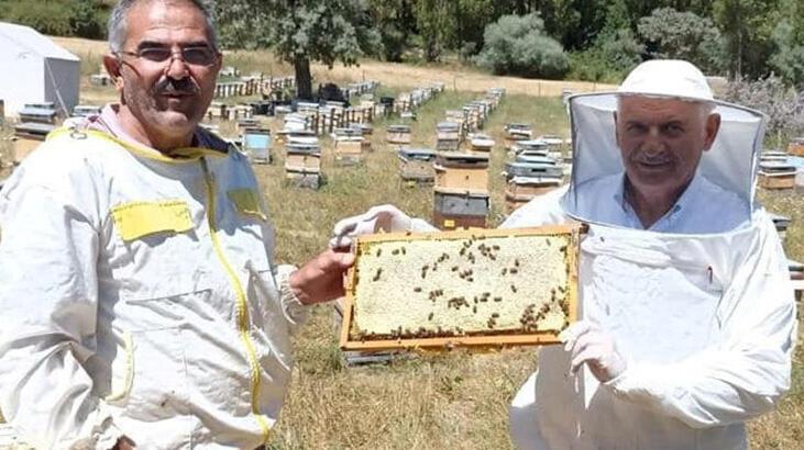 Binali Yıldırım, Erzincan’da bal hasadı yaptı