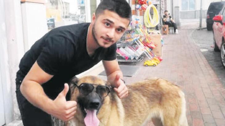 Sokak köpeği silah sayıldı