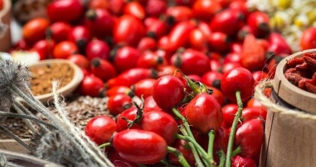 Kuşburnu Çayı Nasıl Yapılır? Kuşburnu Çayı Nasıl Tüketilir, Neye İyi Gelir ve Kimler Kullanamaz?