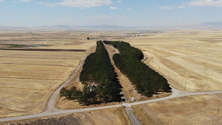 Kars’ta bozkırın ortasındaki ‘vaha’ büyülüyor