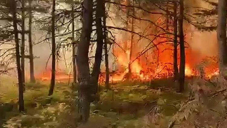 Tokat’ta korkutan yangın! Çevre illerden bölgeye ekip sevk edildi