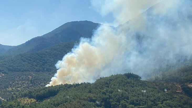 İzmir’de orman yangını kontrol altına alındı