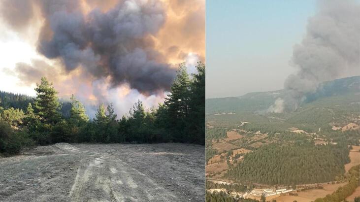 Bursa’da orman yangını! Ekipler bölgede