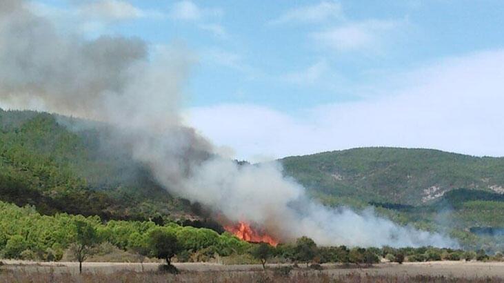 Çanakkale’de orman yangını