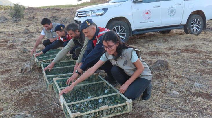 900 sakayı Suriye’ye kaçırmak isteyen şüpheliye rekor ceza