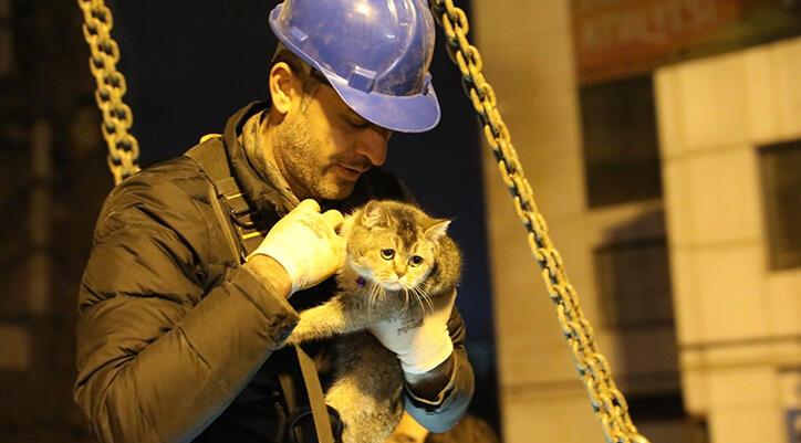 Diyarbakır’da kedi kurtarma operasyonu! ‘Zena’ çıkarıldı