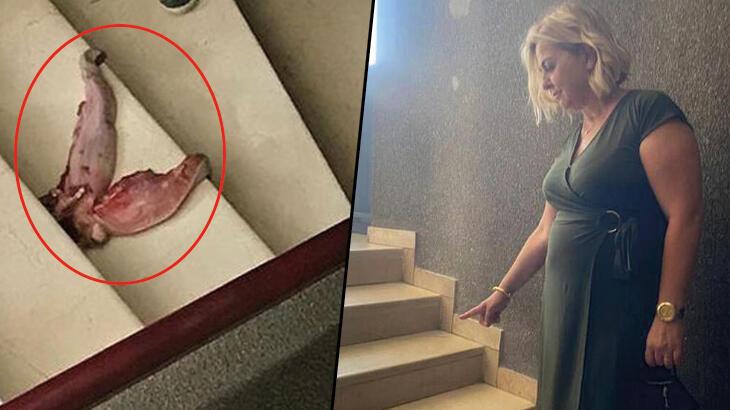 Profesörü ‘dana dili’ ile tehdit etti! Cezası belli oldu
