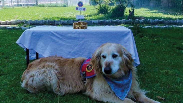 Uyuşturucu Madde Arama Köpeği ‘Altın’, emekli oldu