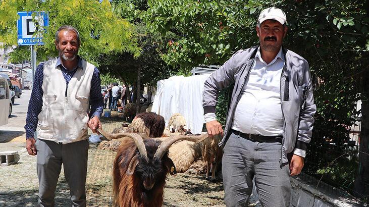 Van’da bayramın ilk günü elde kalan kurbanlıkların fiyatı düştü