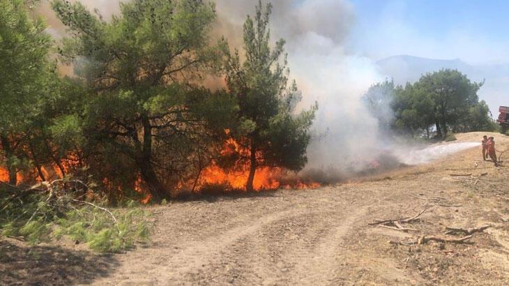 Adana’daki orman yangınları kontrol altına alındı