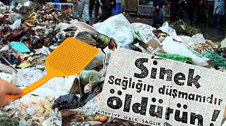 İstanbul’da ‘Sinek Avı’ seferberliği! ‘Gelmeyene ceza kesilecek’