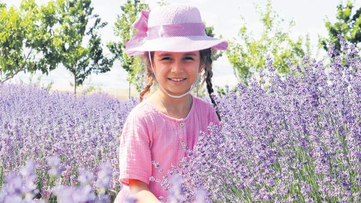 Mis gibi kokular zihnimizi açıyor