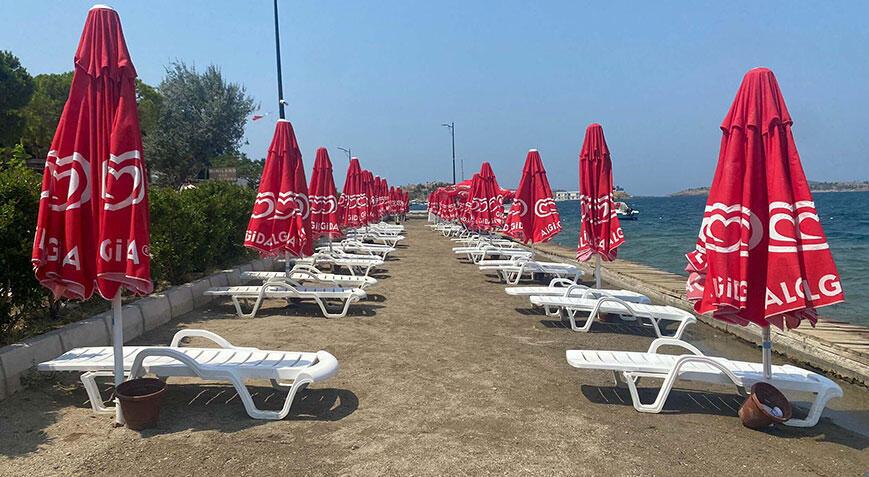 Foça’da denizanası yoğunluğu! Plajlar boş kaldı