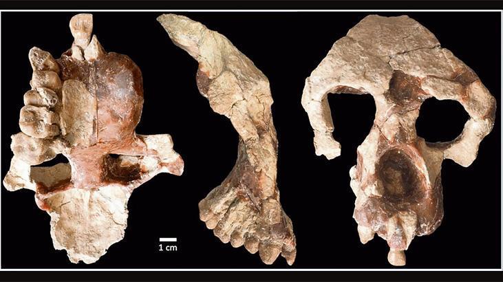 Tarihi değiştiren ‘Anadoluvius’