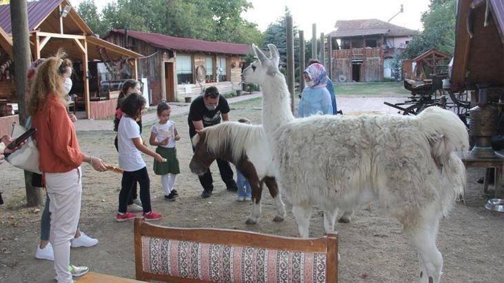 İlçenin maskotu haline gelmişti! Yangında telef oldu