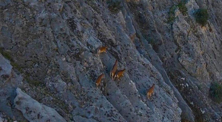 9 milyon yıllık kanyon! Havadan böyle görüntülendiler