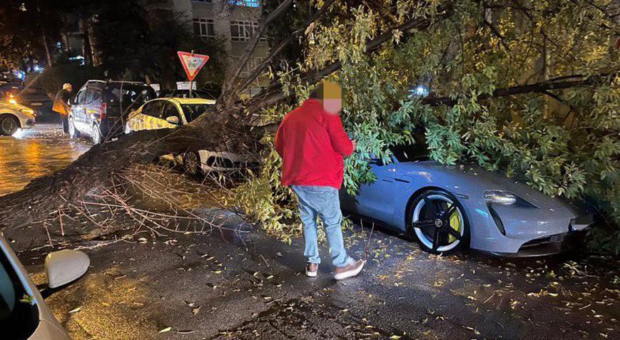 Lüks otomobilin üzerine ağaç devrildi