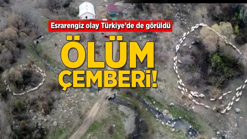 Ölüm çemberi! Esrarengiz olay Türkiye’de de görüldü