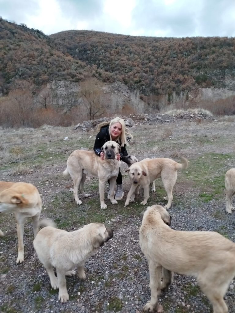 Derya Eylen’den Sokak Hayvanlarına Destek: “Melankolik” Raflarda